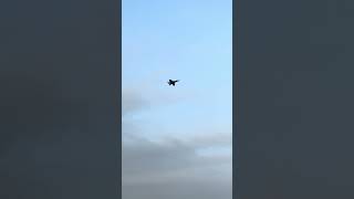 Pilot Travis short flight with his Freewing f-18 90mm!!! #rc #airplane #aviation #jetworld #f18
