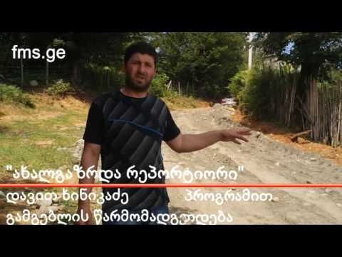 \"ახალგაზრდა რეპორტიორი\" – ძიმითის შიდა გზები