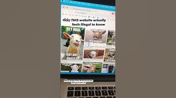 How to Find Similar Images on Google? Search images from all sources AT ONCE with AI
