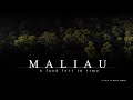 Maliau - A Land Lost in Time