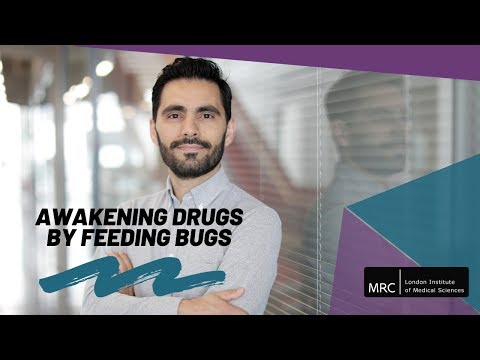 awakening-drugs-by-feeding-bugs