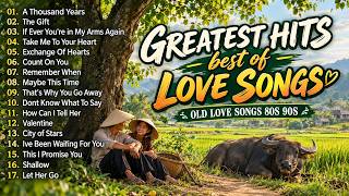 BEST 50 CRUISIN BEAUTIFUL LOVE SONGS HITS MEDLEY 2026 ❤️ TIMELESS OLDIES | BEST ROMANTIC LOVE SONGS