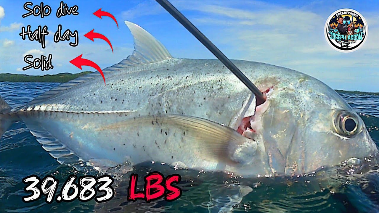 Spearfishing 🇵🇭 kahit saan tumingin. DAMING ISDA  