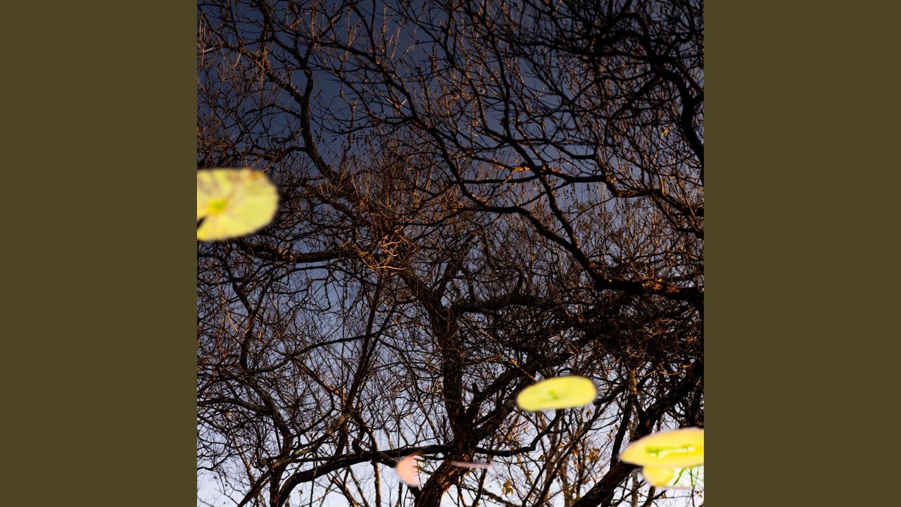 Early Morning Dreams