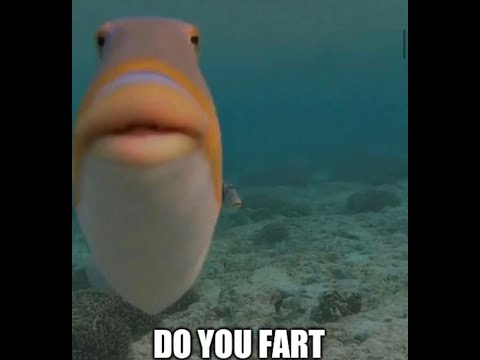 do-you-fart?