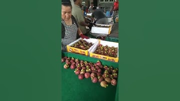 Fruit Lemon Kiwi Olive Sorting Line Onion Cherry Tomato Grader Mango Grading Potato Sorting Machine