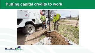 What are capital credits?