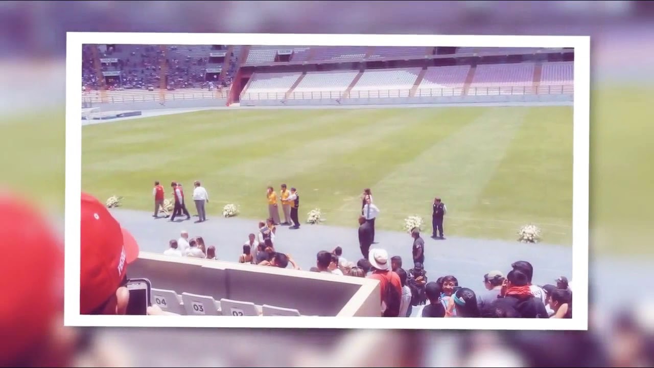 Descansa en paz , Daniel Peredo Menchola