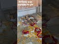 birthday puja at Archhandi Distt Kullu Himachal Pradesh #likeandsubscribe
