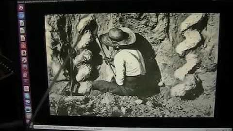 Mudfossils part 8 Giant hairs and sweat glands