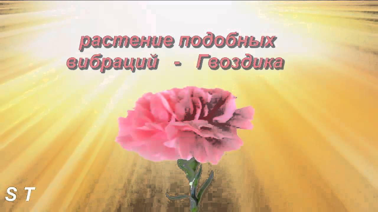 Значение имени Лариса Значение имени Лариса