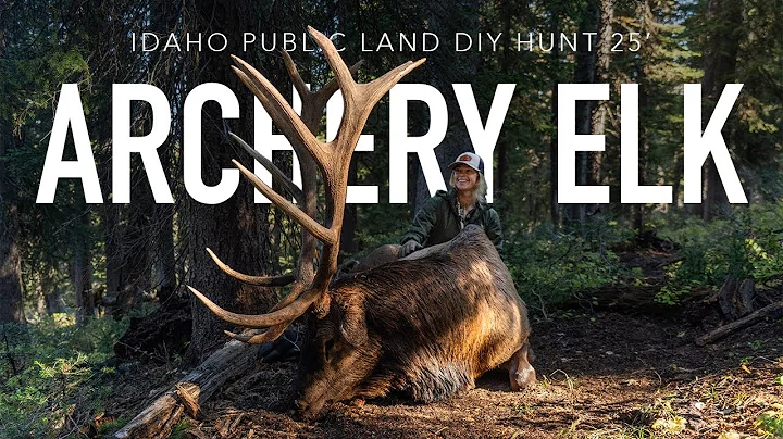 Solo Public Land Archery Elk Hunt | 340" BULL ELK