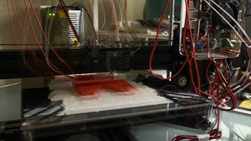 Tevo Tarantula Prusa i3 First Print