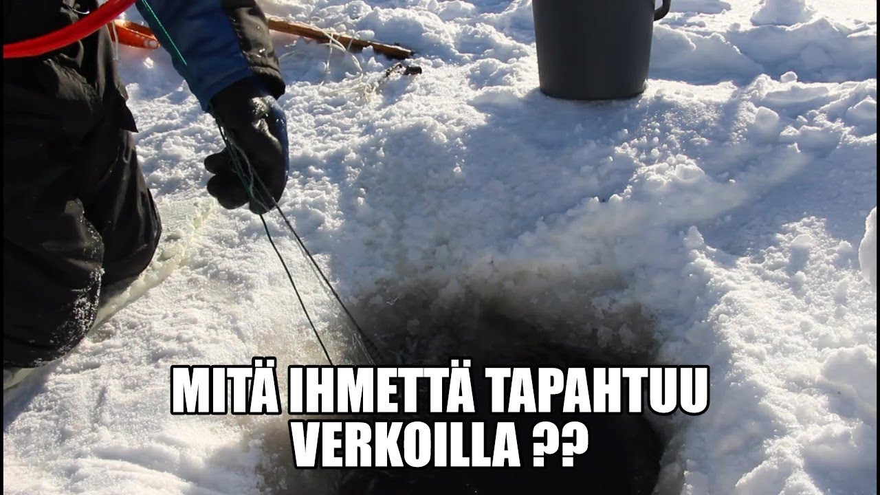 VOI MAHOTON MITEN KÄVI VERKOILLA.?