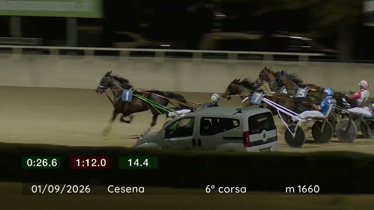2026 09 01 | Corsa 6 | Metri 1660 | Premio Carnevale Di Gambettola