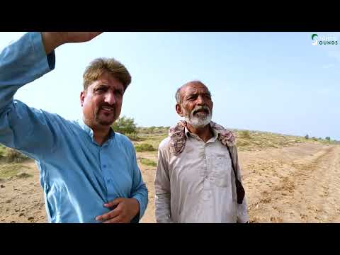 Beauty of Cholistan / Rohi Desert - Rahim Yar Khan