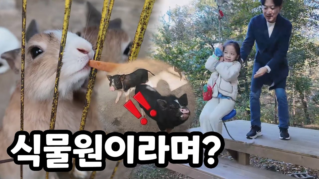 이름만 식물원? 동물 먹이 주기 + 야외 놀이 맛집! 동천자연식물원