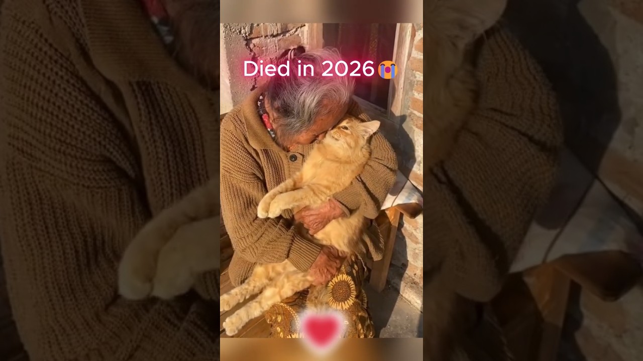 Gone But Never Forgotten (Then vs Now) 💔🕊️