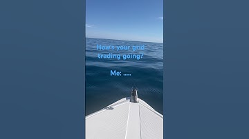 Blackwave Pacific Hedged grid trading. Get in on the ground floor. #forexstrategy #forexaccount