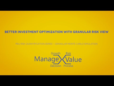 Better Investment Optimization with Granular Risk View - P&U Series