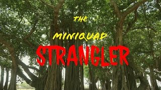 The Miniquad Strangler