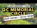 QUEZON CITY CIRCLE | Plant Nursery Tour | EP 19