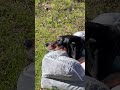 Video of Mouth of Two Hearted River State Forest Campground, MI from Gerard E.