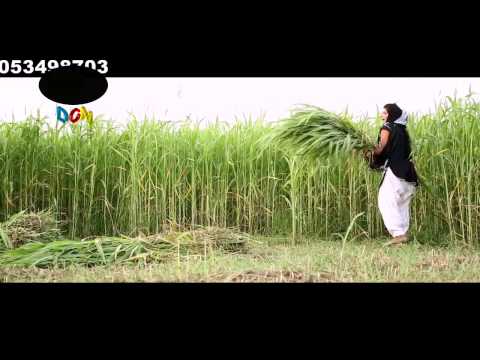 Mahri Gaal Main Tu Ek Patola Tu Hd 1080p