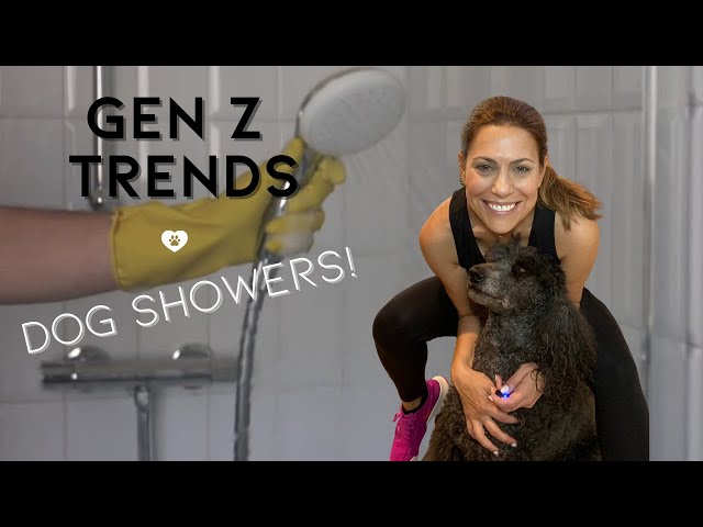 Gen Z Trends:  Dog Showers!