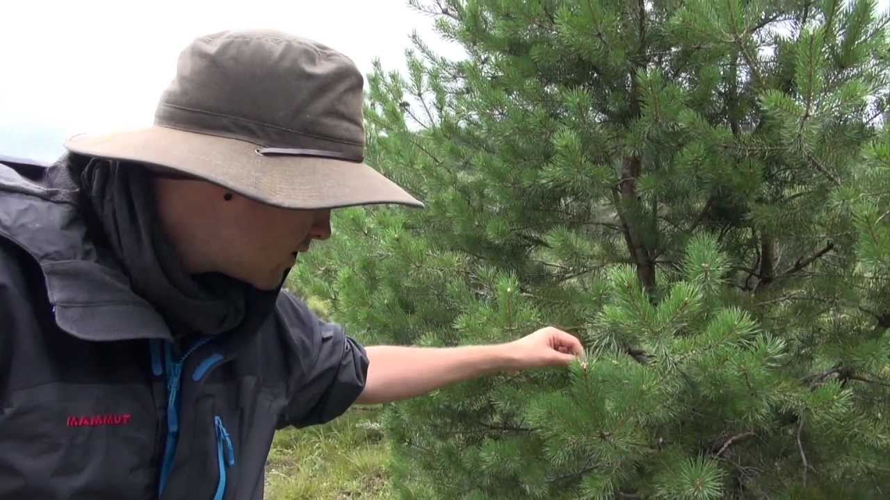 Traumpfad München - Venedig Tag 3 (Bad Tölz - Tutzinger Hütte)