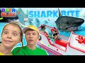 Охота на акул в Shark bite