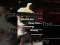 Register now#fights #kämpfe #mmafights #livefights #k1fights #muaythai #mma #kickboxen #grappling