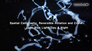 Spatial Calligraphy, Reversible Rotation and Crane - Itami Blue Light, Day & Night