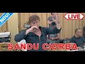 Sandu Ciorba - Barosan de barosan - Live Nunta  Zsuzsi si Mihaly