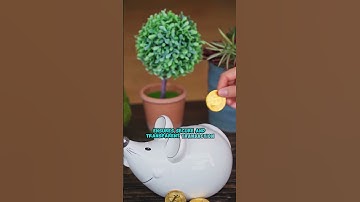 Bitcoin Revolution: The Unbelievable Journey of a Digital Currency! #BitcoinExplained