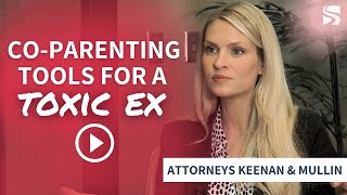 Tools for Co-Parenting With A TOXIC EX by Sterling Lawyers, LLC 929 views 3 years ago 5 minutes, 21 seconds