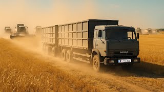 видео: УБОРКА 🌾 УРОЖАЯ 2025... Пыль столбом, 💲цена ПАДАЕТ... Камаз дальнобой картинка: УБОРКА 🌾 УРОЖАЯ 2025... Пыль столбом, 💲цена ПАДАЕТ... Камаз дальнобой
