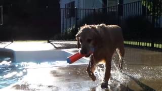 Iris in slow motion