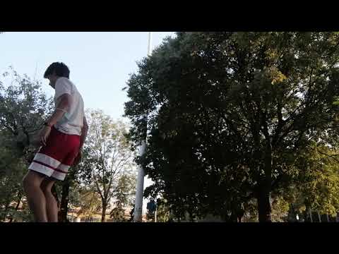Macaco parkour