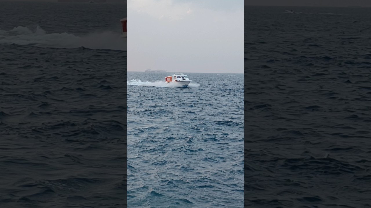 speed boat..😱🚢 