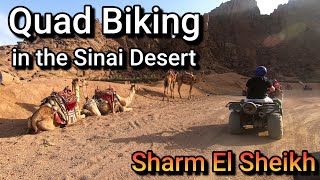 Quad Biking in the Sinai Desert, Egypt