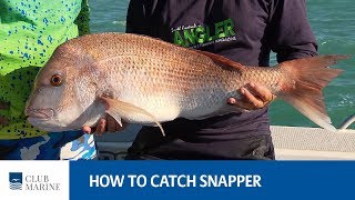 How To Catch Snapper - Fishing Tip With Paul Worsteling Club Marine