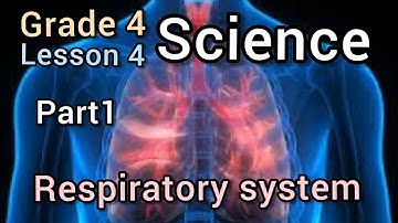 مفهوم 1-1 الدرس 4 | الجهاز التنفسي | علوم الصف الرابع -منهج الصف الرابع الابتدائي لغات