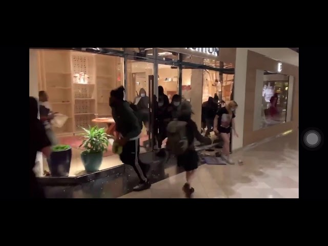 OMG!!! LOOTERS RANSACK LOUIS VUITTON AND APPLE STORE IN PORTLAND, OREGON 