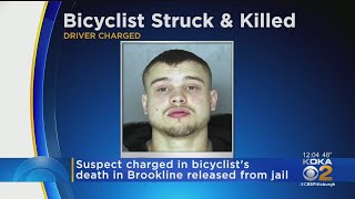 Family Of Cyclist Hit, Killed By Driver Upset After Suspect Is Released From Jail