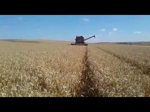 دودز فار المعلم حسن الغروي