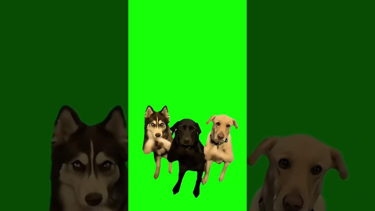 Who let the dogs out? Definitely not AI 