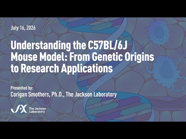 Understanding the C57BL/6J Mouse Model: From Genetic Origins to