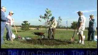Bel Aire Tree Planting