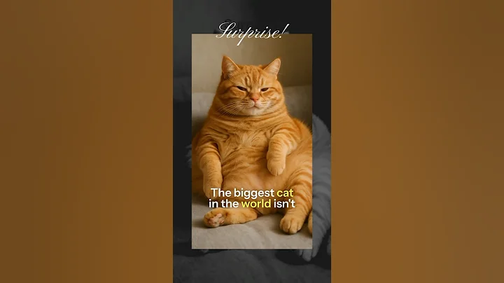 Video 9375691: siberian tiger, cat lion tiger